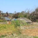 웰빙건강 식단 이미지