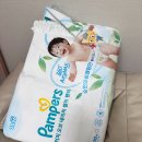 팸퍼스 2026 터치 오브 네이처 썸머 팬티 기저귀 후기 (10개월 / 피부 약한 아기)