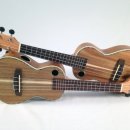 우쿠렐레 이미지