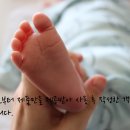 청년피자 호매실점 이미지