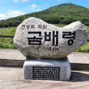 인제 연가리 오토캠핑장 펜션 이미지