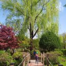 나무고아원입구 이미지