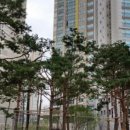 호박부동산중개사무소 이미지