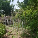 상한농장 이미지