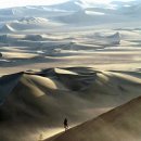 세계챔피언짐 이미지