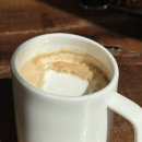 솔트스테인(Saltstain) 이미지