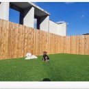 가야유치원 이미지