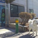 옥구지구대 이미지