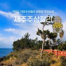 대포숲 | 제주도 대포주상절리 입장료 주차요금 가볼만한곳