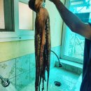 남편님께(85) 이미지