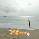 자작도 하우스 네이버블로그