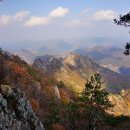 삼성농약사 이미지