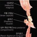 그랜드헬스 이미지