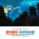 월드샵 | 잠실 실내 데이트 롯데월드 아쿠아리움에서 벨루가부터 굿즈샵 다녀온 후기