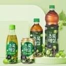 초록담기