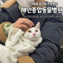 혜인종합 동물병원 이미지