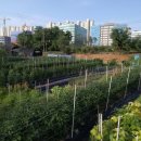 수자원농장 이미지