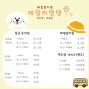 데일리 댕댕 | [의정부] 사랑으로 돌봐주는 애견유치원 &#39;데일리 댕댕&#39; 픽드랍 호텔링 서비스
