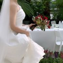 식물관PH 웨딩, 강남 하우스웨딩 후기 - 아이폰스냅 웬디스냅