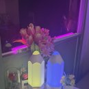 인천성리중학교 | 인천 구월동 신점맛집 천상선녀 소름 돋는 신점 후기