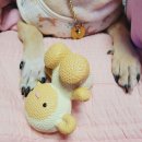 견생냥품 쌍문역점 이미지