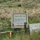 새별오름 | 가을에 방문하기 좋은 제주도 새별오름 후기