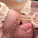 트레이더스홀세일클럽 연산점 이미지