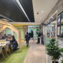 겨울독서교실(전쟁과 평화) | 화성시 노을빛 도서관 겨울독서교실 후기ㅣ국립어린이청소년도서관 주최