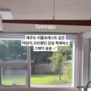 스테이숲숲 이미지