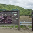 연풍초등학교 | 평전치 원시림의 품에 안긴 길, 둘레길이 아니라 대간길이다. 속리산둘레길 괴산9구간코스