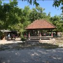 핑크비치 이미지