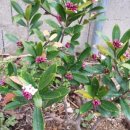 인선농장 이미지