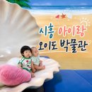 카페332 | 시흥 아이랑 오이도 박물관｜어린이 체험실 예약·주차 후기