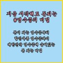 다봄안과 네이버블로그