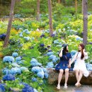 라메르해남 이미지