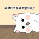 서보약국 | #6 곧 서른을 앞둔 사람의 11월(살짝 답없음)