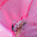 척과농장 이미지