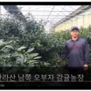 오부자농장 이미지