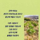 김동보 이미지
