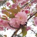 색연필 그림 이미지