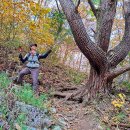 용호상사 이미지