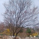 꿈꾸는뜨락 | (후기) 산+책 클럽 #1.5 인왕산