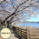 달성군구지면고봉보건진료소 | 대구 달성군 현풍 벚꽃 명소 달창저수지 TOP 3 사람 없는 히든 인생샷 스팟 공개