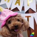 꾸밤꾸밤 이미지