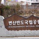 2025년01월11일 변산반도 격포항 이미지