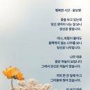 커피SAY Daum카페