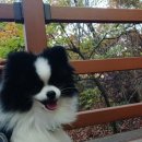 개금숲길공원 이미지