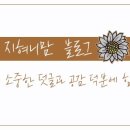 하이초도