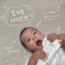 아모르스킨케어 | 데일리 아기로션 추천, 유기농스캔케어 브랜드 오가본 아기로션 찐 사용후기