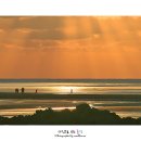 황금빛 노을 이미지